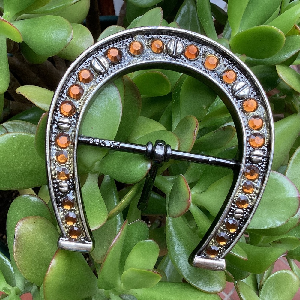 Rhinestone Horseshoe Belt Buckle
